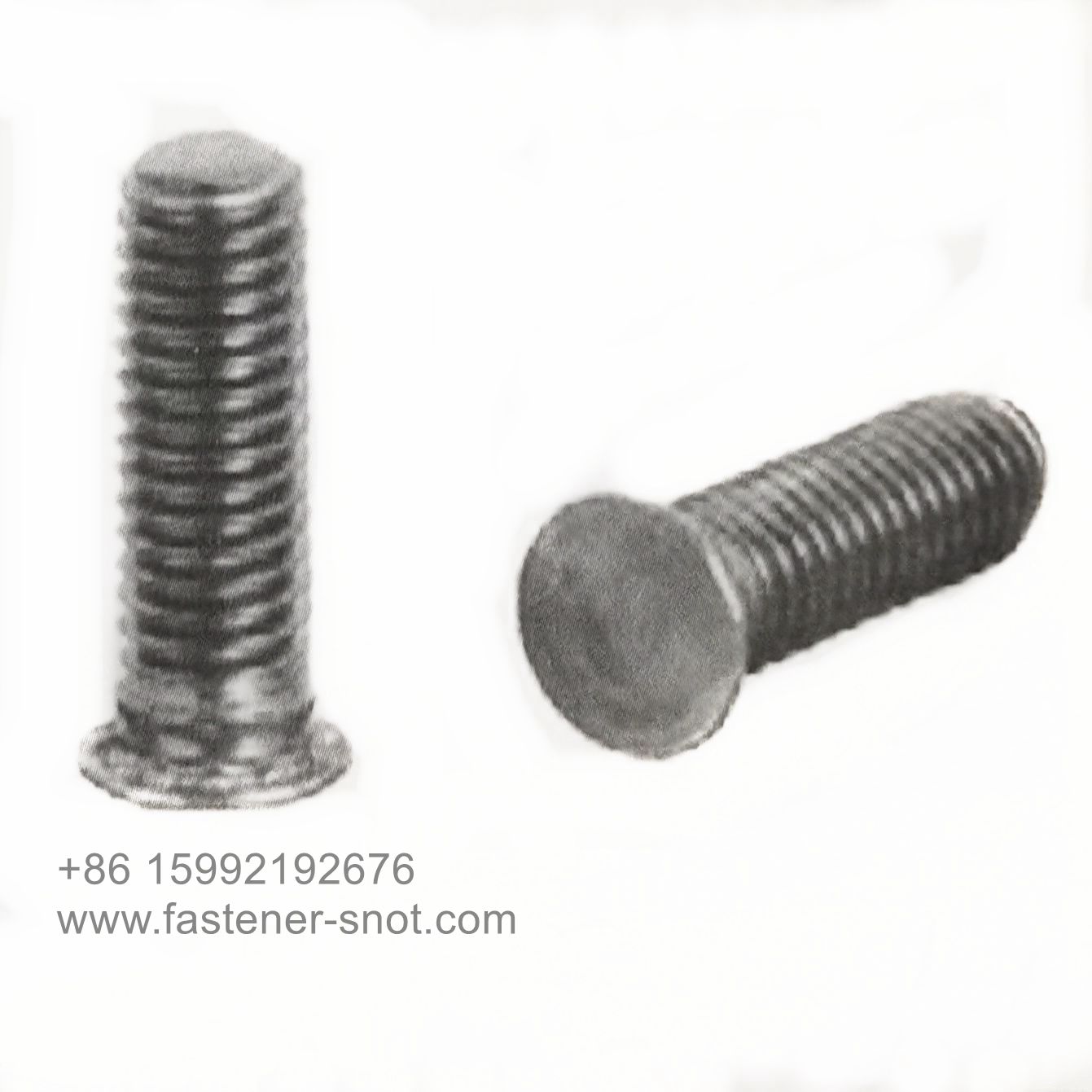 Studs Round Head Custom Size.jpg
