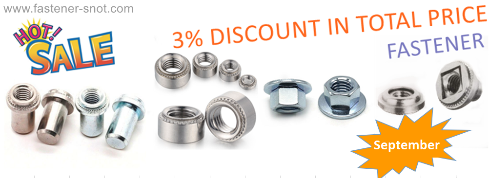 www.fastener-snot.com.png